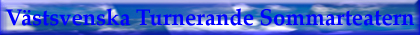 Organiserande f�rening VSTS